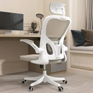 Ergonomic Desk Chair with Lumbar Support