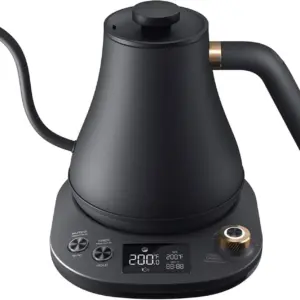 Electric Kettle with Temperature Control