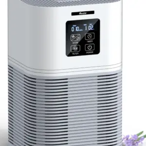 Air Purifier with HEPA Filter