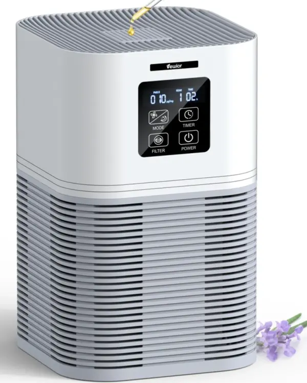 Air Purifier with HEPA Filter